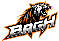 Bagh Casino Logo